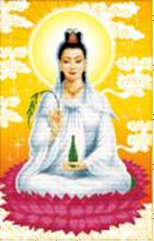 Hướng dẫn mua hàng